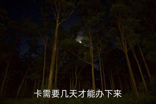 卡需要几天才能办下来