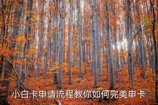 小白卡申请流程教你如何完美申卡