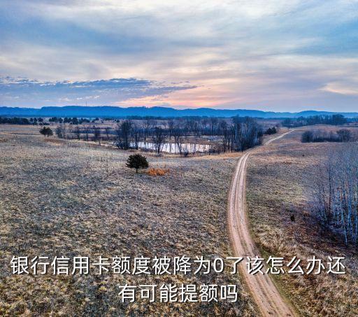 银行信用卡额度被降为0了该怎么办还有可能提额吗