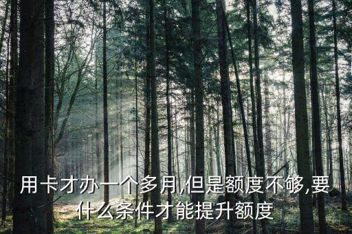 信用卡额度越申请越少,为什么申请的信用卡越多,额度越低