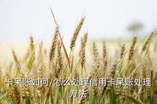 卡呆账如何/怎么处理信用卡呆账处理方法