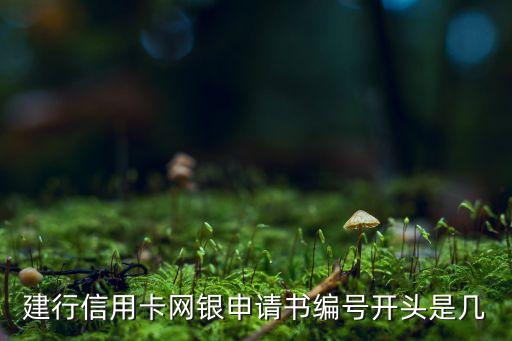 建行信用卡网银申请书编号开头是几