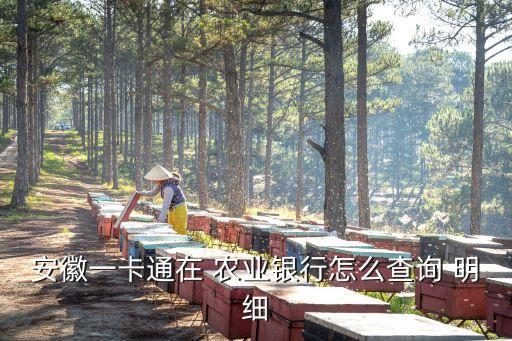 安徽一卡通在 农业银行怎么查询 明细