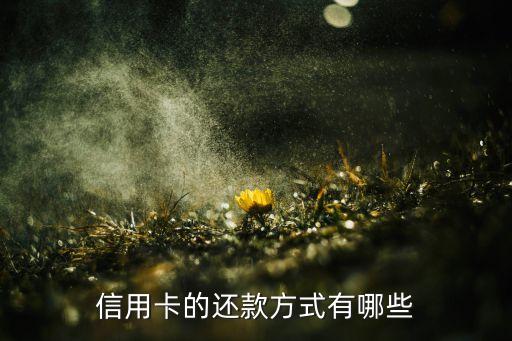 信用卡的还款方式有哪些
