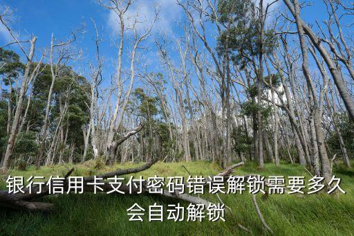 银行信用卡支付密码错误解锁需要多久会自动解锁