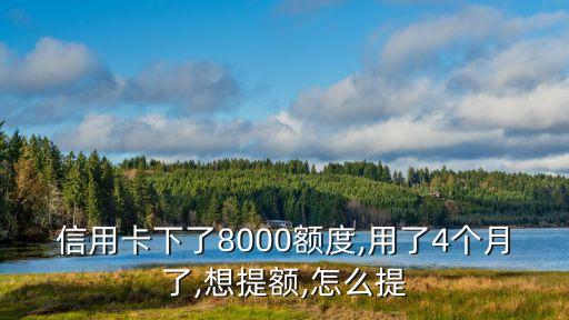 信用卡下了8000额度,用了4个月了,想提额,怎么提
