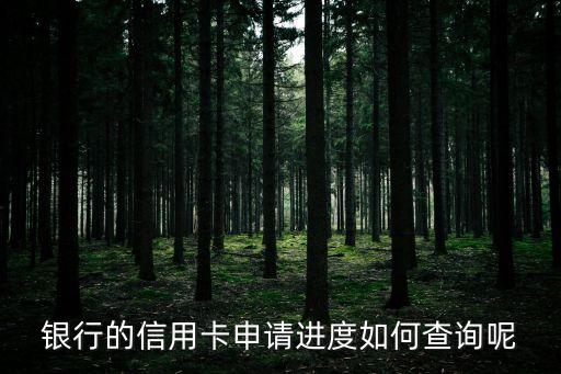 银行的信用卡申请进度如何查询呢
