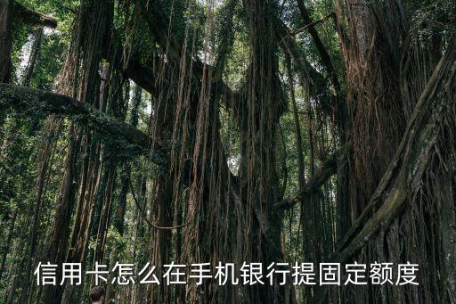 信用卡怎么在手机银行提固定额度