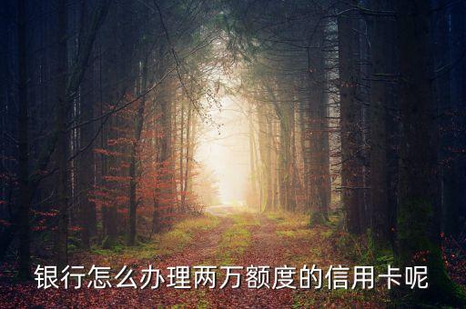 银行怎么办理两万额度的信用卡呢