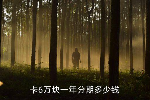 卡6万块一年分期多少钱