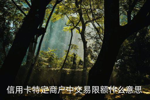 信用卡刷大额度消费商户,大额消费信用卡手续费怎么算