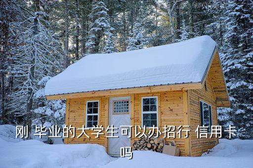 刚 毕业的大学生可以办招行 信用卡吗