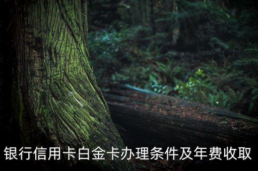 银行信用卡白金卡办理条件及年费收取