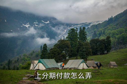 淘宝上面怎么用信用卡分期,淘宝上信用卡分期怎么用