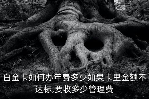 白金卡如何办年费多少如果卡里金额不达标,要收多少管理费