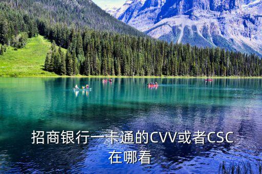  招商银行一卡通的CVV或者CSC在哪看