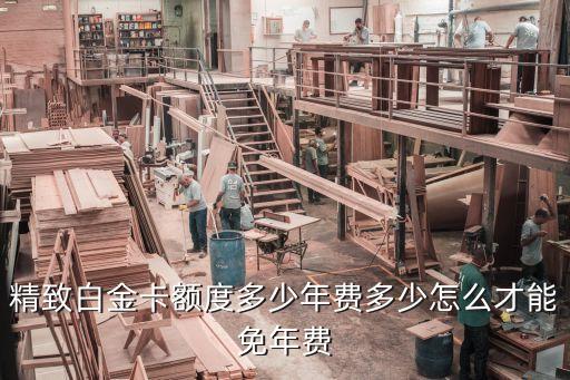 招行尊尚是白金信用卡额度,商户尊尚白金信用卡