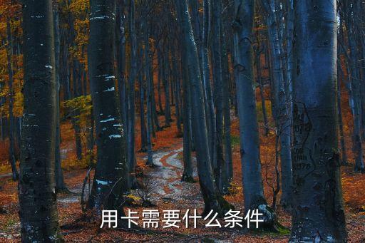 用卡需要什么条件