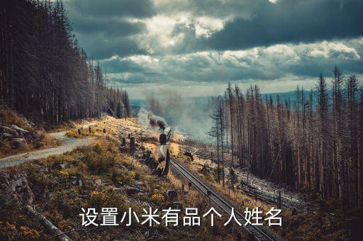 设置小米有品个人姓名