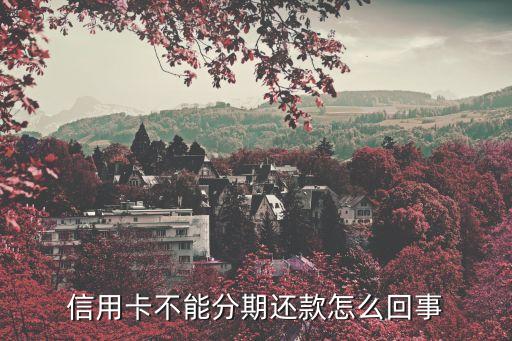 信用卡不能分期还款怎么回事