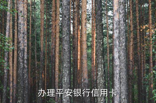 办理平安银行信用卡