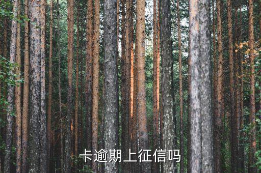 卡逾期上征信吗