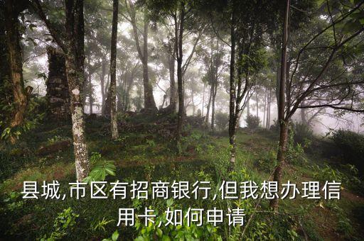 县城,市区有招商银行,但我想办理信用卡,如何申请