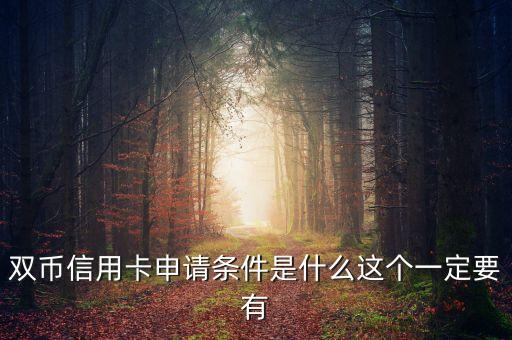 双币信用卡申请条件是什么这个一定要有