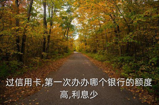 过信用卡,第一次办办哪个银行的额度高,利息少