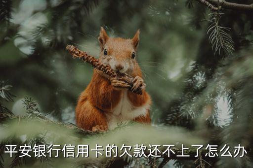 平安信用卡逾期怎么上岸,平安银行信用卡逾期怎么办