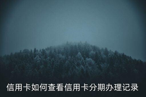 信用卡如何查看信用卡分期办理记录