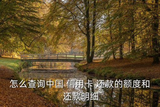怎么查询中国 信用卡 还款的额度和 还款明细