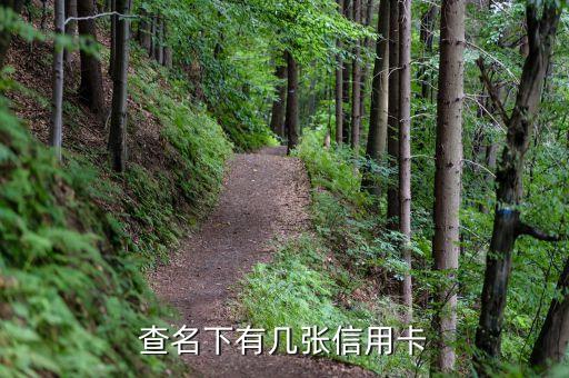 查名下有几张信用卡