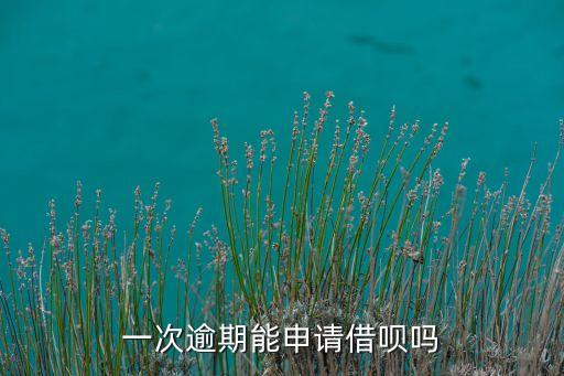 一次逾期能申请借呗吗