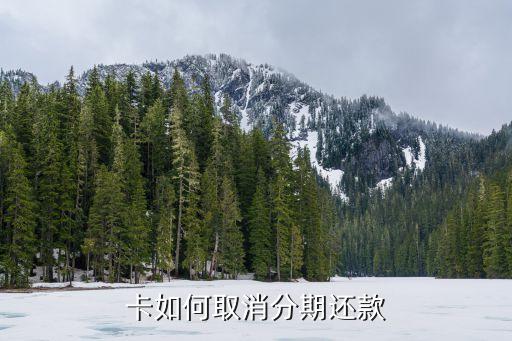 卡如何取消分期还款
