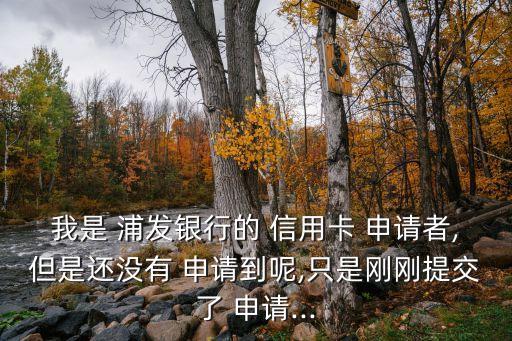 我是 浦发银行的 信用卡 申请者,但是还没有 申请到呢,只是刚刚提交了 申请...