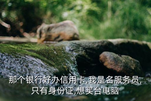 那个银行好办信用卡,我是名服务员,只有身份证,想买台电脑
