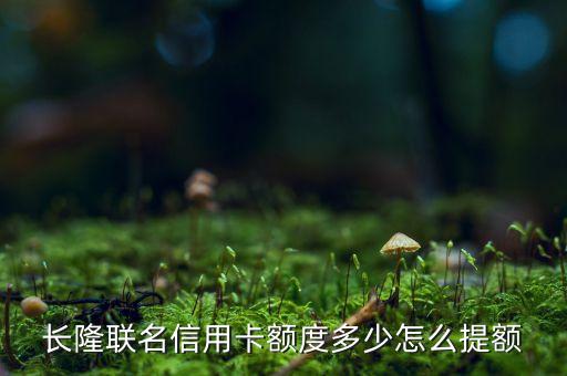 长隆联名信用卡额度多少怎么提额