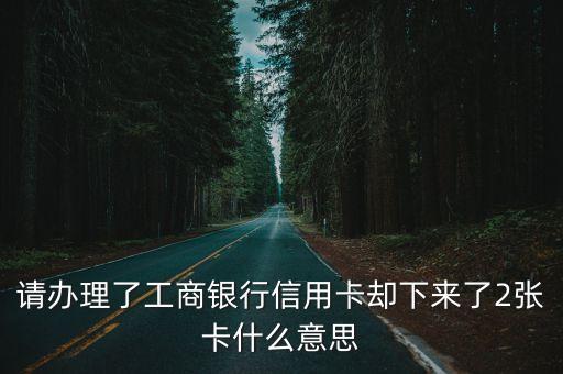 请办理了工商银行信用卡却下来了2张卡什么意思