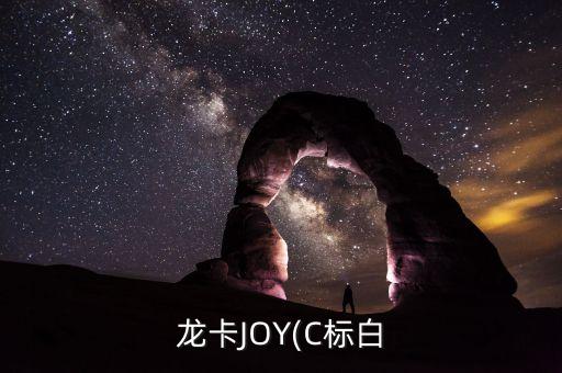 龙卡JOY(C标白