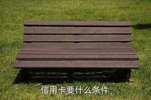信用卡要什么条件