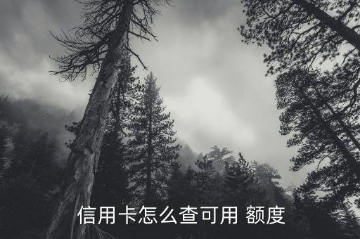  信用卡怎么查可用 额度