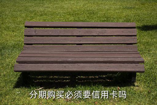 办理分期付款必须要信用卡吗,如何用信用卡办理分期付款