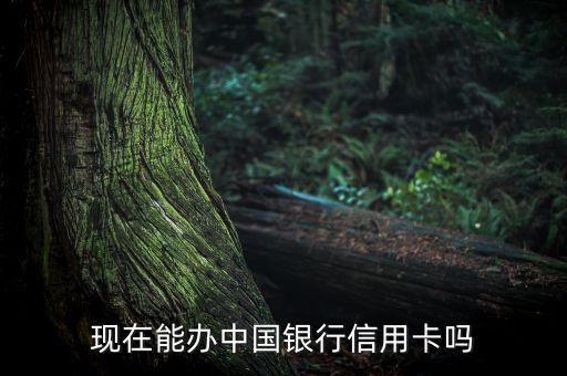 学校可以申请信用卡吗现在,大学生可以申请信用卡吗