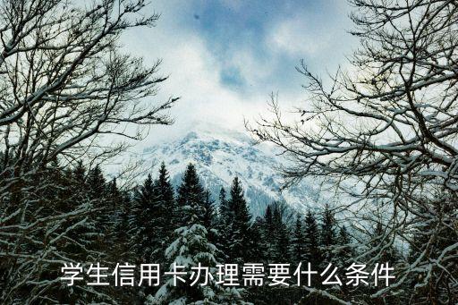 学生信用卡办理需要什么条件