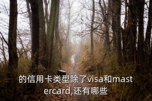 的信用卡类型除了visa和mastercard,还有哪些