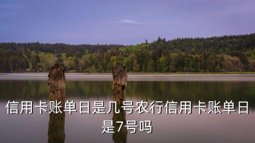 信用卡账单日是几号农行信用卡账单日是7号吗