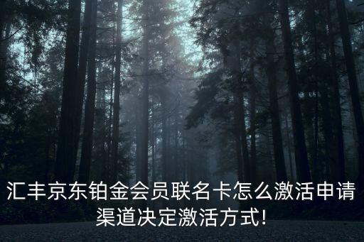 汇丰京东铂金会员联名卡怎么激活申请渠道决定激活方式!