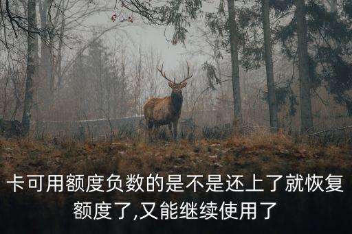 卡可用额度负数的是不是还上了就恢复额度了,又能继续使用了