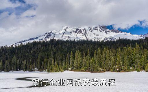 银行企业网银安装流程